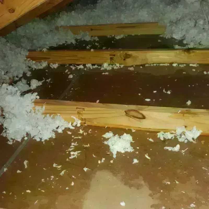 Attic Water Damage in Timberville, VA